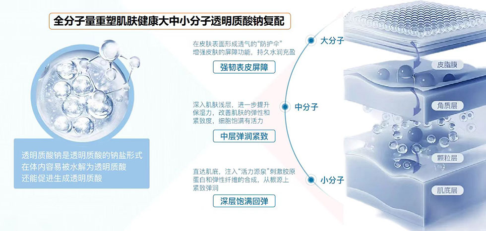 Full Molecular Hyaluronic Acid Mask